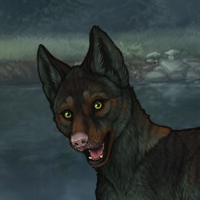 Dio | Skarn Pup Headshot