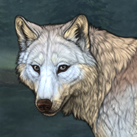 Wolf Headshot