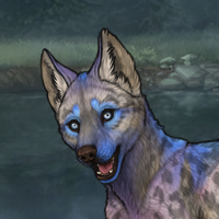 Husky Melchior Headshot