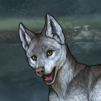 Wolfe Headshot