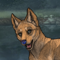 Enclave Pup Headshot