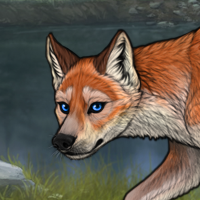 R&C Fox Headshot