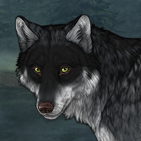 Wolf Headshot