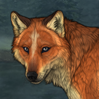 Fox male Headshot