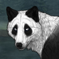 panda Headshot