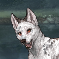 G4 Larimar dalmatian pie Headshot