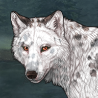 G4 Larimar dalmatian pie Headshot