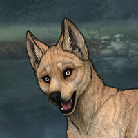 R&C T1 8M Bloodhound Eyes Headshot