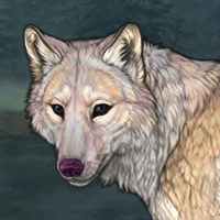 Silver Fang Headshot