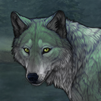 Kelpie Headshot