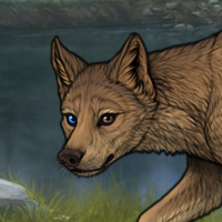 Thornpaw Headshot