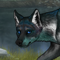 Kelpie Headshot