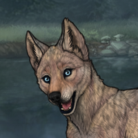 Peacetail Headshot