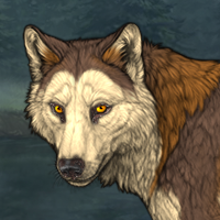 Wolf Headshot