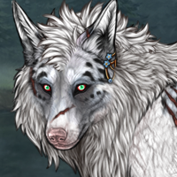 Aemon The Grey Headshot