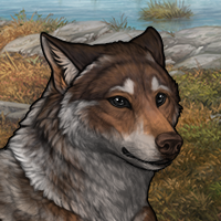 Wolf Headshot