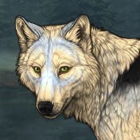 Wolf Headshot