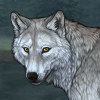Wolf Headshot