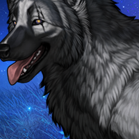 Wolf Headshot