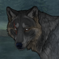 {:Weilder of eclipses:} Headshot