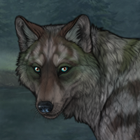 Forestbear Headshot