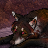 Wolf Headshot