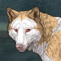 Pinto Pelt (C) - A Headshot