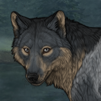 Wolf Headshot