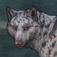 Appaloosa Headshot