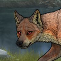 rnc fox Headshot