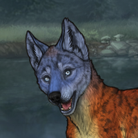 r&c t3 fox husky Headshot