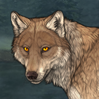 Wolf Headshot