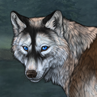 Wolf Headshot