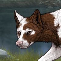 Uneven Piebald Headshot