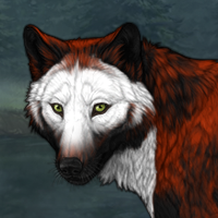 Wolf Headshot