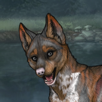 Piebald Pupper Headshot