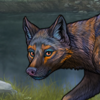 Orion Headshot
