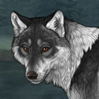 Wolf Headshot