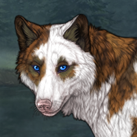 Wolf Headshot