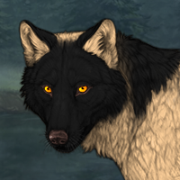 Wolf Headshot