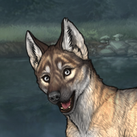 Enclave Puppy Headshot