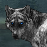 Wolf Headshot