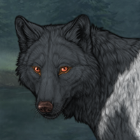 Wolf Headshot