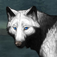 Wolf Headshot