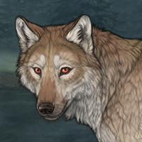 [(Coyote)] Headshot