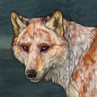 indigo eyed fox Headshot
