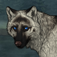 Wolf Headshot