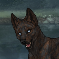 Iridium Husky sell Headshot