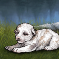 PIEBALD Isabel T2 4m Headshot