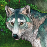 Piebald: Zerdava Headshot